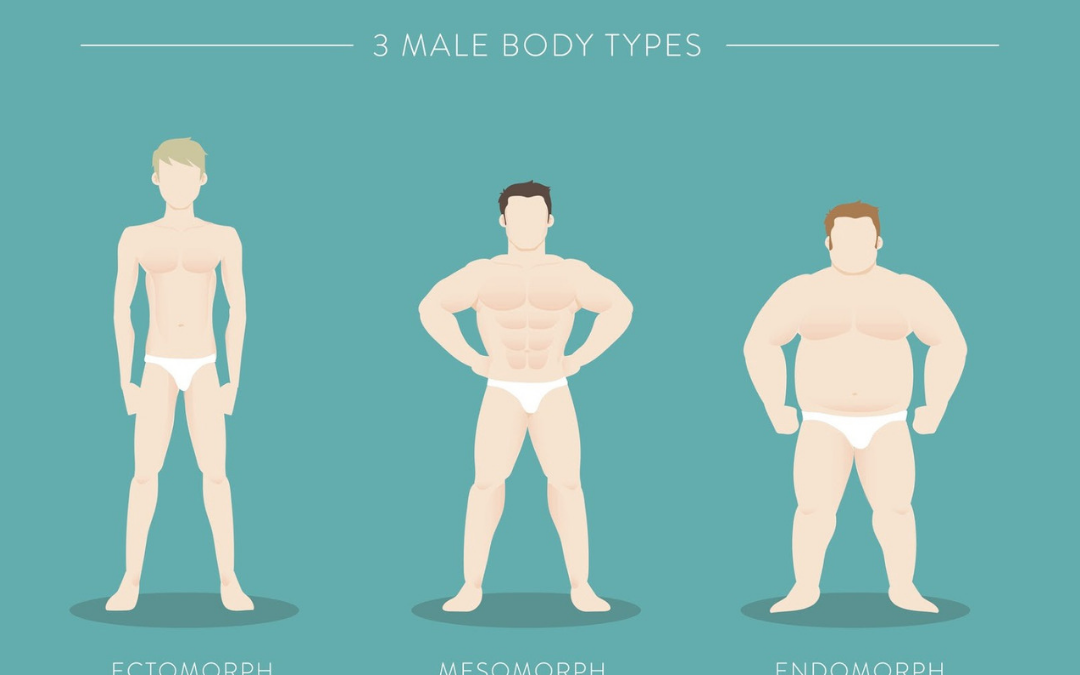 Different body types